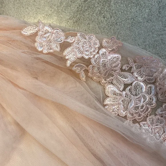 Blush Pink Long Tulle & Lace Dress - Picture 3 of 9